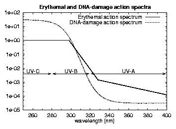 action spectra